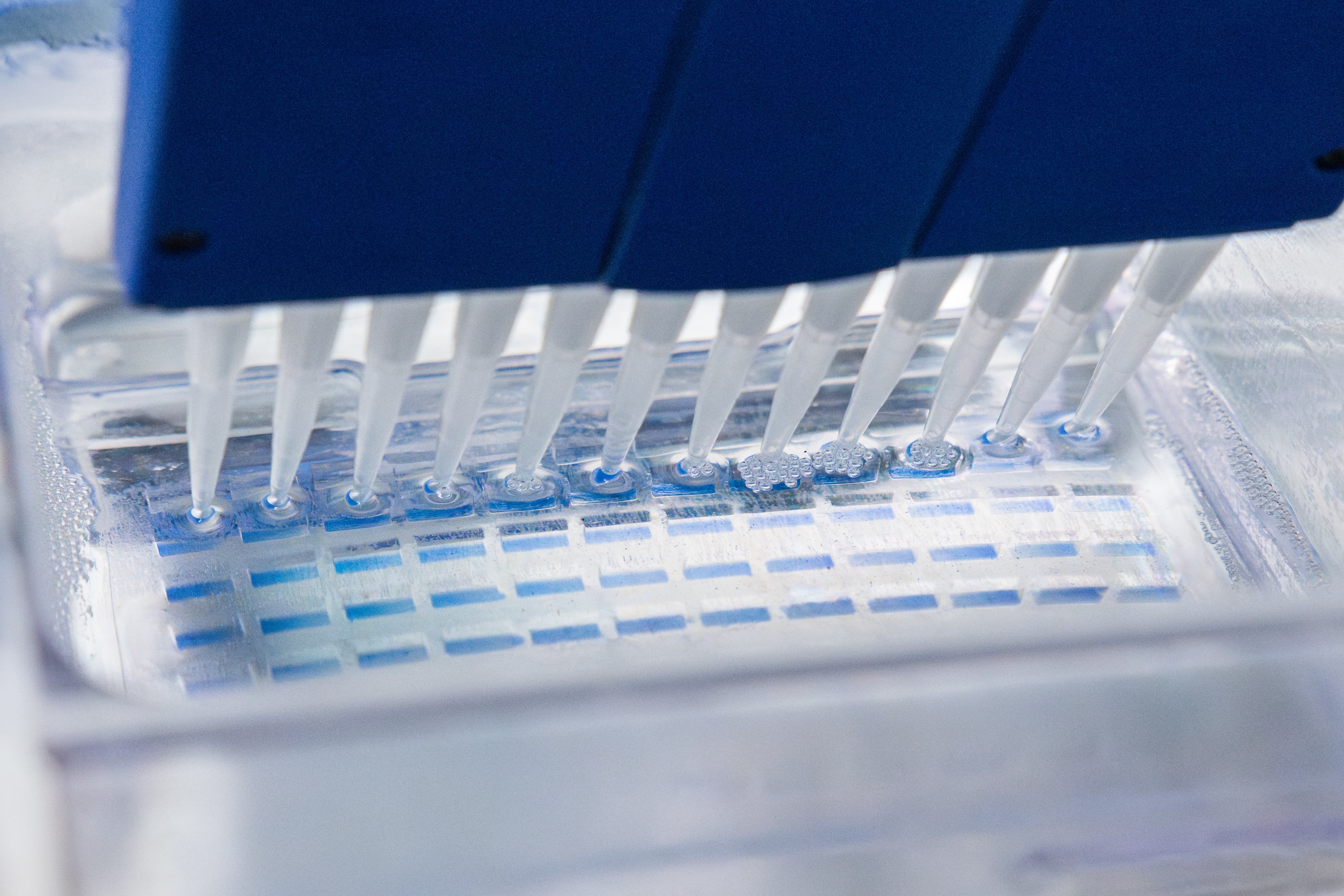 G96 micropipetting cover image