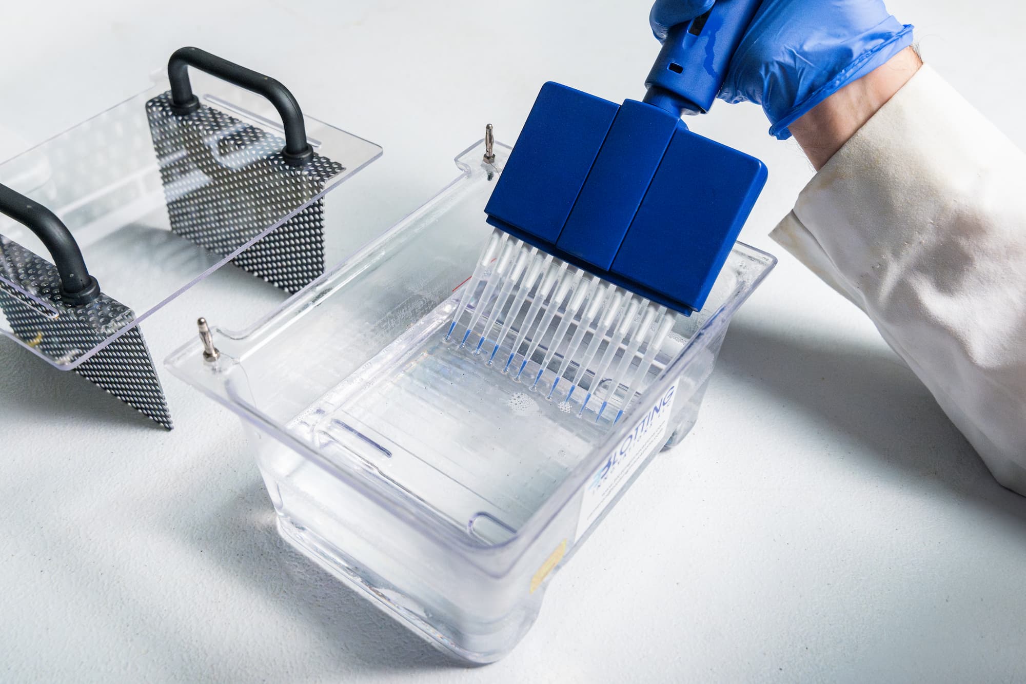 G-Blot High-Throughput Western Blotting System